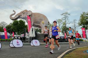 BIB: 
                            <button type="button" onclick="openModal(26528806)" class="btn btn-primary btn-sm float-right btn-popup" data-toggle="modal" data-target=".modal-high-quality">
                        <i class="fas fa-shopping-cart"></i> Add to Cart
                    </button>
                                            <button type="button" onclick="isThisMe(26528806, true)" class="btn btn-success btn-sm float-right btn-popup btn-isme hidden" data-toggle="tooltip" data-placement="bottom" title="นี่คือรูปของคุณใช่ไหม คลิกที่นี่เพื่อเอาเข้าอัลบั้ม">
                        <i class="fas fa-plus"></i> Add to album
                    </button>
                    <button type="button" onclick="isThisMe(26528806, false)" class="btn btn-warning btn-sm float-right btn-popup btn-isnotme hidden">
                        <i class="fas fa-ban"></i> Remove from album
                    </button>